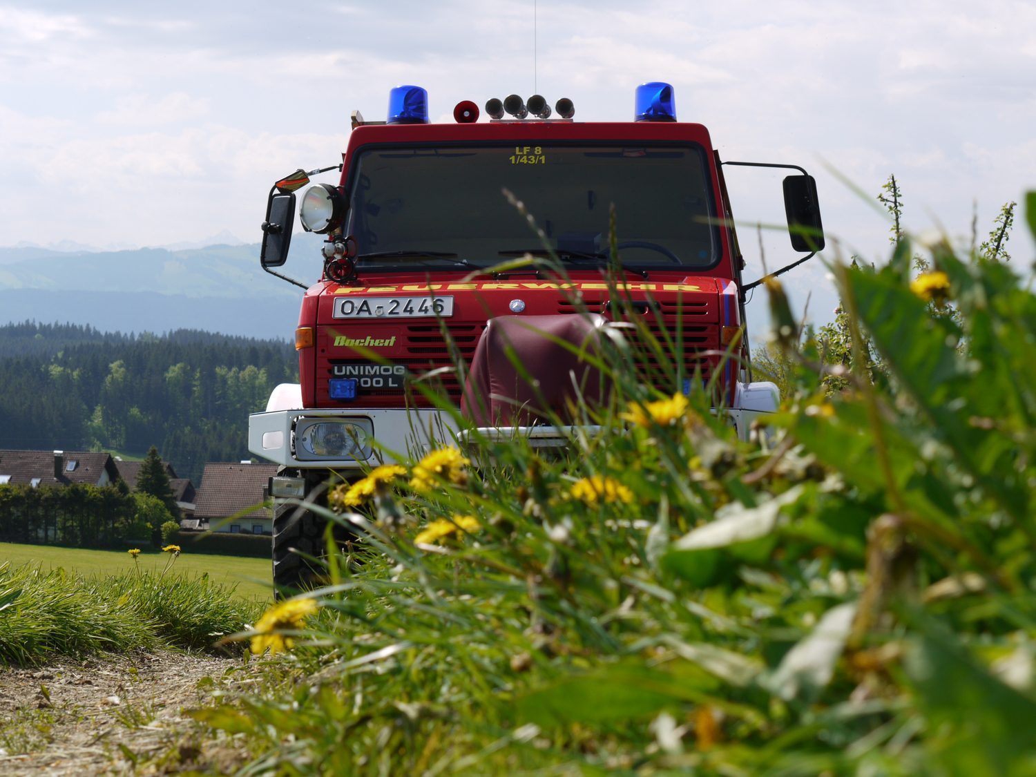 1289042757_1705236443